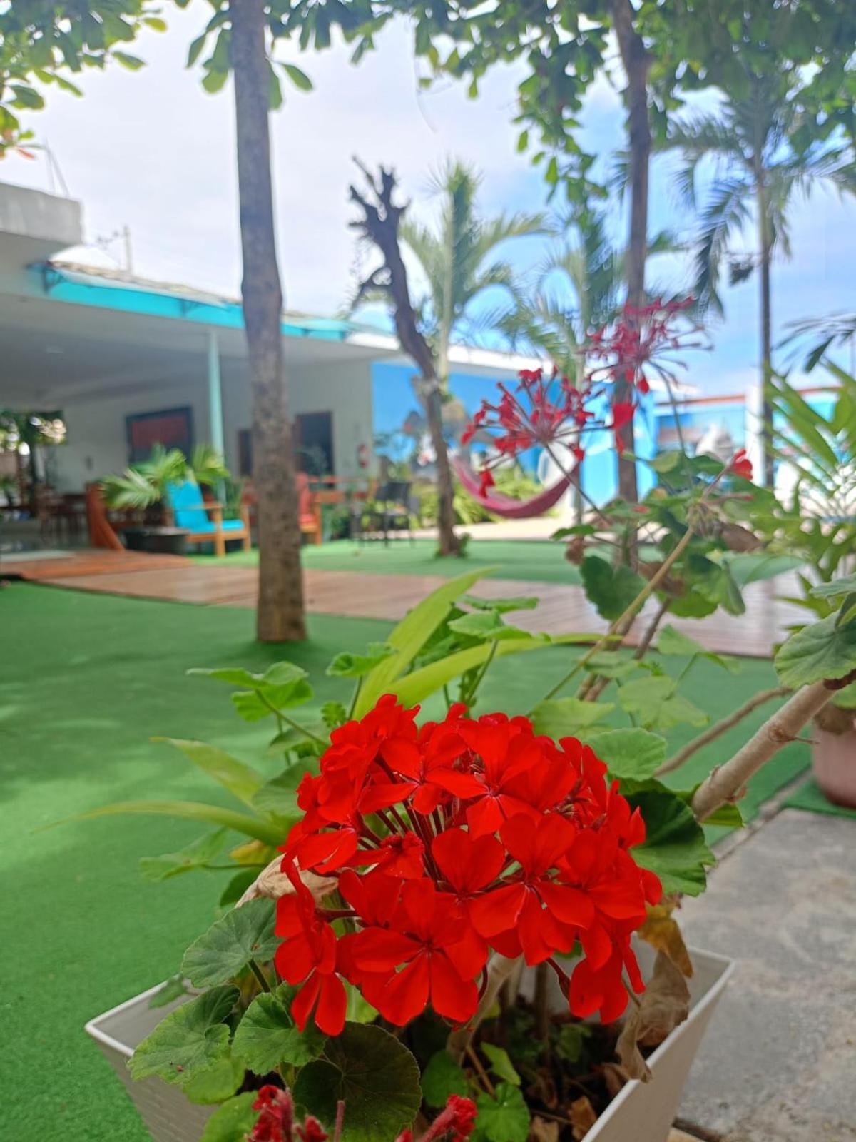 Galapagos Isabela Hotel Loja بْوُرتو فيلاميل المظهر الخارجي الصورة